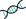 Prime Path Lab
